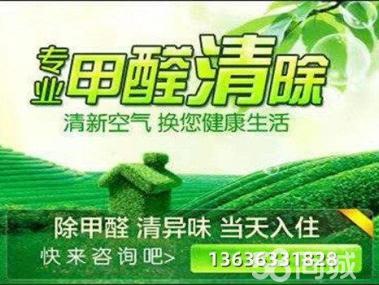 母嬰甲醛治理服務工裝家裝除甲醛工廠,空氣凈化提供甲醛檢測、汽車除醛、甲醛治理/除甲醛服務
